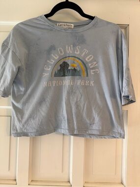 Cut & Paste Light Blue Yellowstone National Park Crop Tee